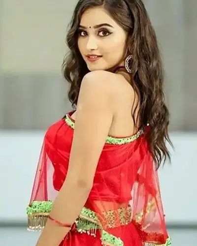 Escort In Shree Nagar
